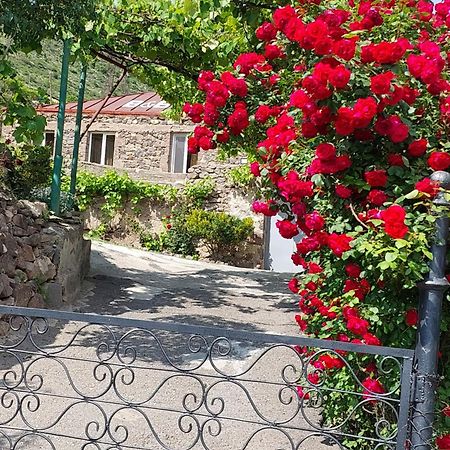 Igor Bed And Breakfast Halidzor Exterior foto