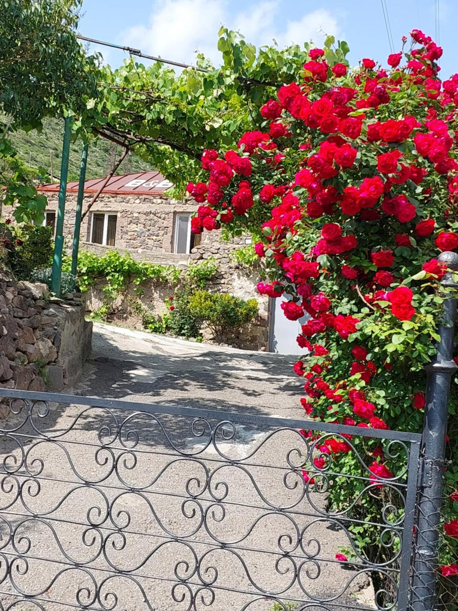 Igor Bed And Breakfast Halidzor Exterior foto